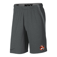 Nike Hype Tiger Logo Shorts